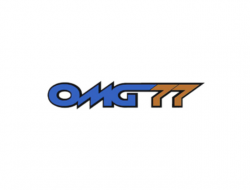O.m.g. 77 srl unipersonale - Sollevamento e trasporto - impianti ed apparecchi - Genga (Ancona)